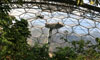 The Eden Project-Tropical Rainforest Lookout Design & Construction