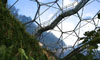 The Eden Project-Tropical Rainforest Lookout Design & Construction