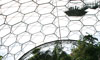 The Eden Project-Tropical Rainforest Lookout Design & Construction